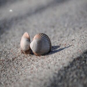 Océliane création tasse phare coque Océliane création tasse phare coque