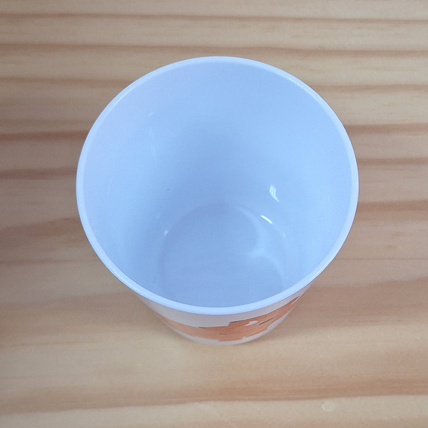 Océliane création Verre polymère dinosaure dessus