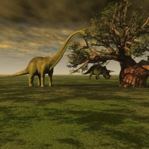 Océliane création dinosaure Océliane création dinosaure