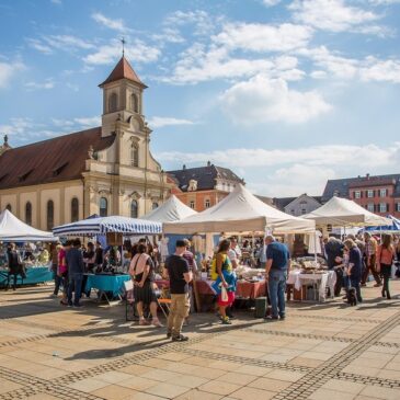 Océliane création Marché des créateurs